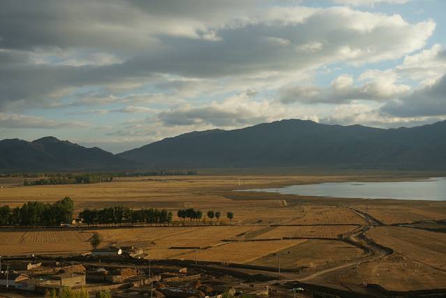 卡拉麦里有蹄类保护区