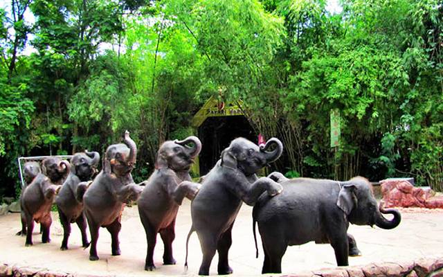 曼谷野生动物世界