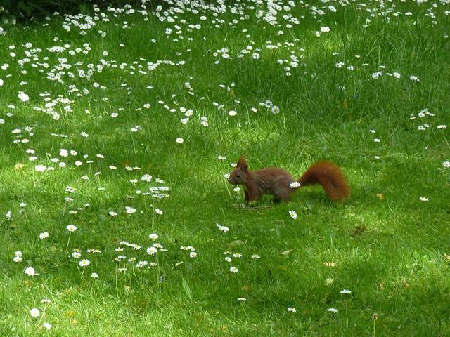 哥本哈根大学植物园