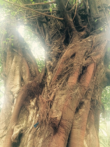 2017靖江王城在独秀峰脚下,是桂林龙脉之地_