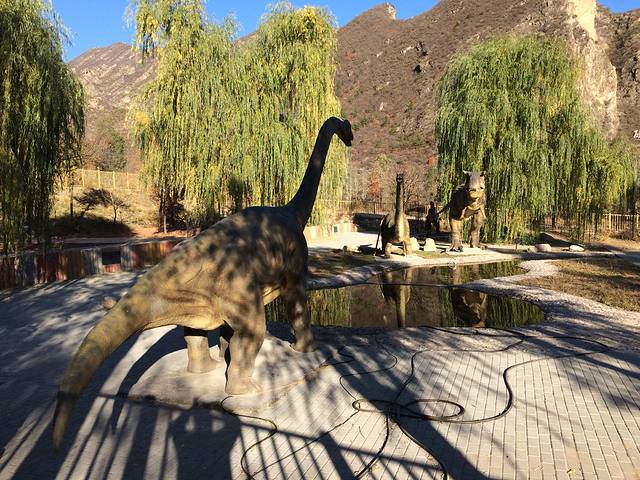 百里山水画廊—硅化木