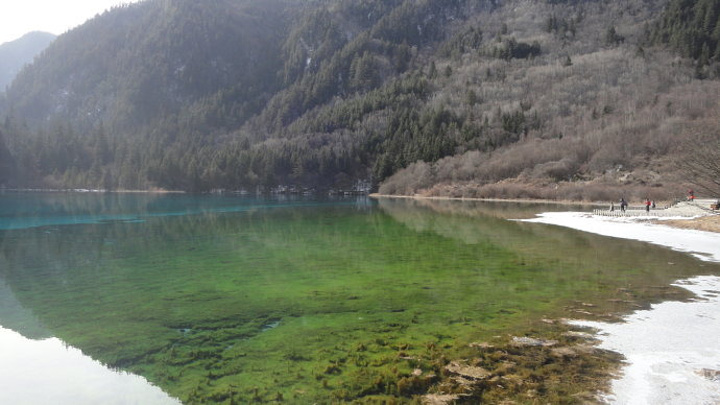 "这地方是叫老虎嘴，能俯瞰五花海全貌的地儿，坐观光车在这是没有站的，只能从熊猫海走下来，但非常值得_九寨沟-五花海"的评论图片