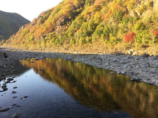 枫林谷森林公园