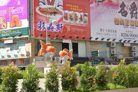 金鱼街旅游景点攻略图
