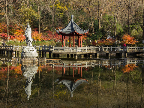 栖霞寺旅游景点图片