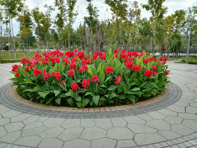 2017这种名言警句一路上都有,看着很有文化气