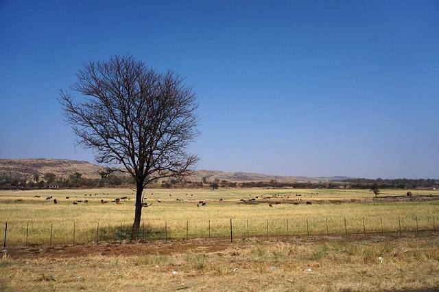 非洲最美的国度--南非之行