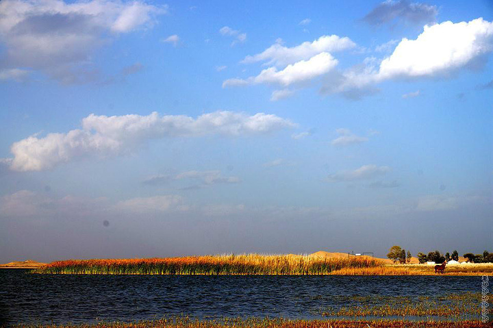 2017相机不做防沙保护很容易就报废拉_库布齐