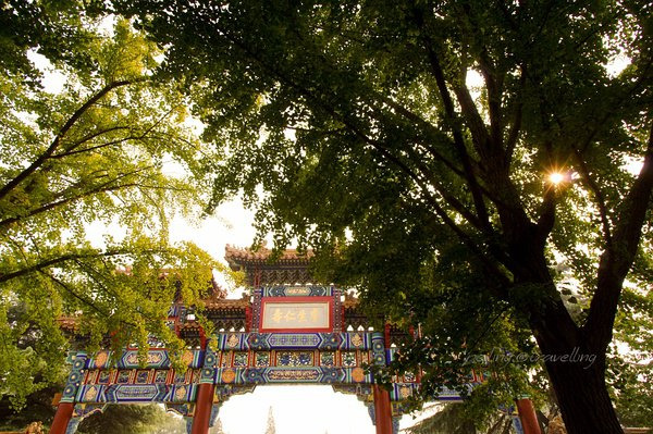 故地重游北平城,再见你的斑驳之美