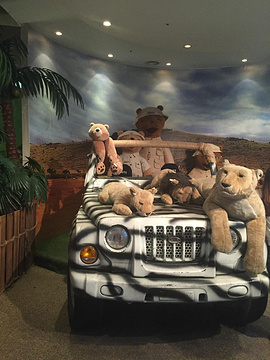 泰迪熊野生动物国旅游景点攻略图