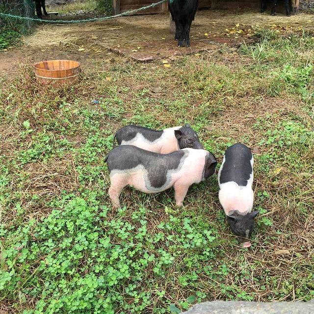 宁波野生动物园