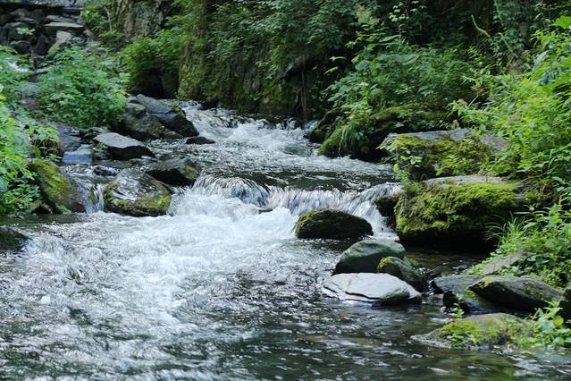 凤凰山国家森林公园