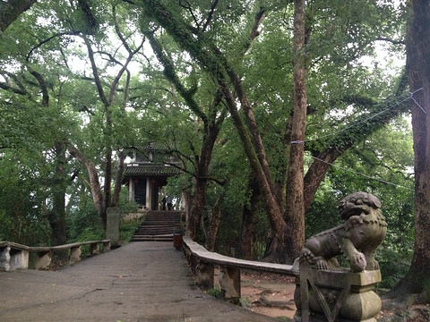 溪口旅游景点攻略图