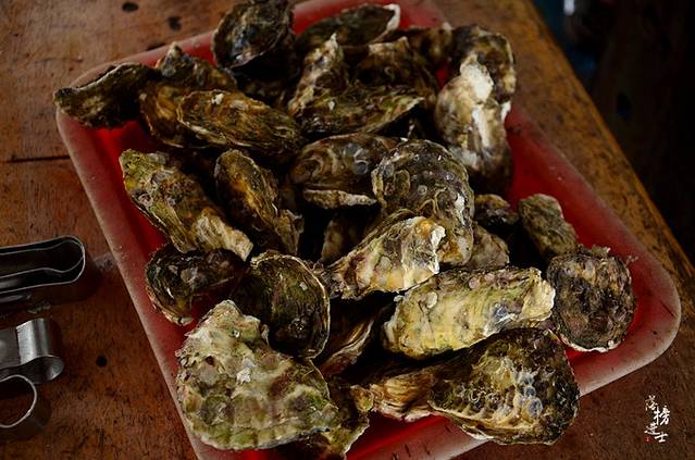 海上皇宫-海洋牧场