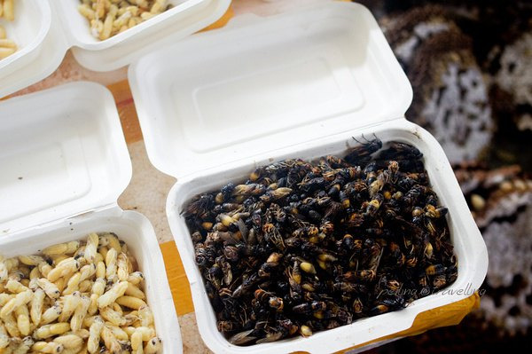 云南木水花野生菌市场