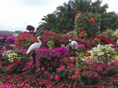 莲花山公园旅游景点攻略图