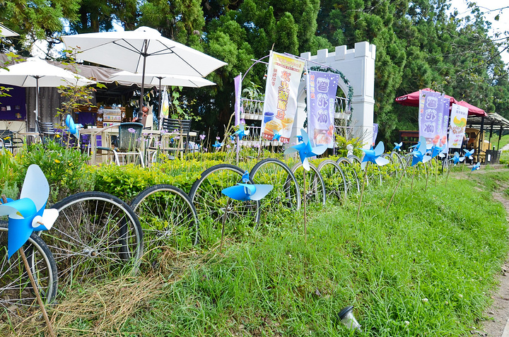既能当阴,又能很好地将花园与外界隔开。