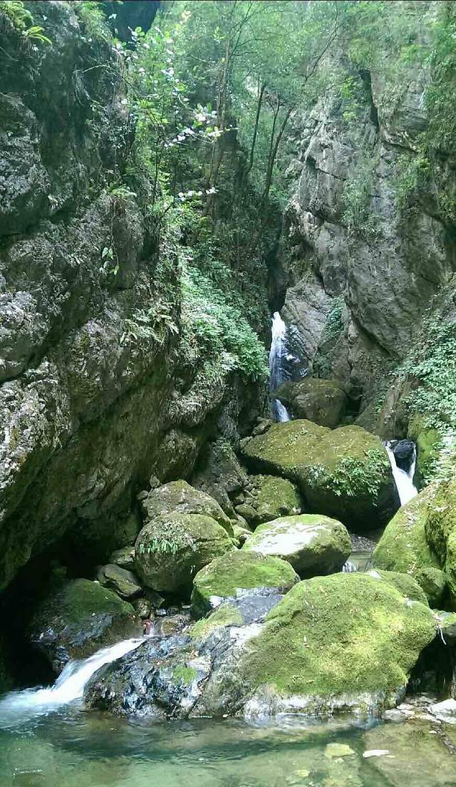 板仓自然保护区