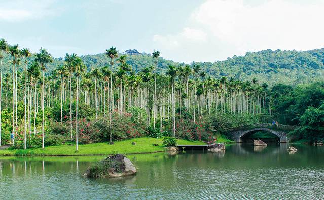 呀诺达热带雨林