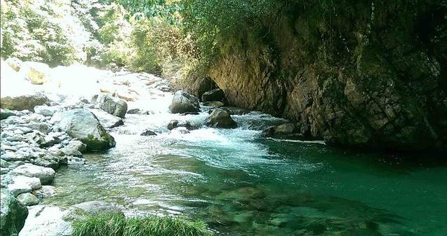 板仓自然保护区