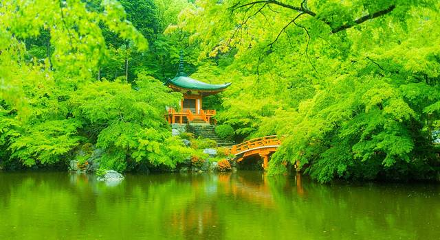 再访日本,迷蒙雨季