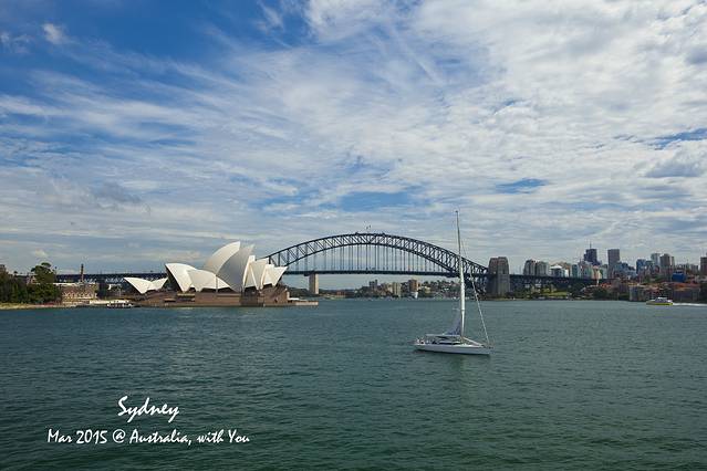 麦考利夫人座椅