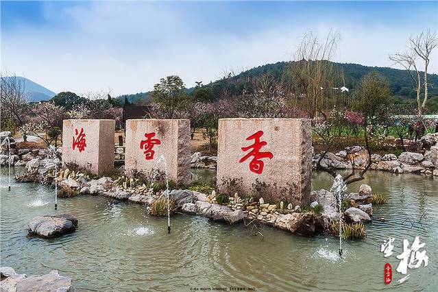 香雪海是整个光福景区的核心,梅花盛放季节来此,可谓是名符其实.