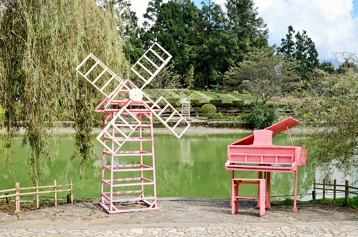 既能当阴,又能很好地将花园与外界隔开。