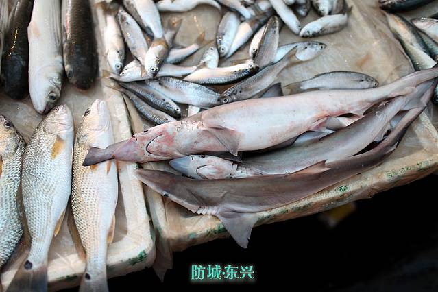 涠洲岛幸福时光