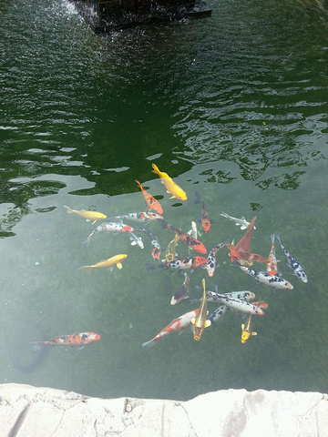 2017梨木台位于天津蓟县的最北端,是天津人避