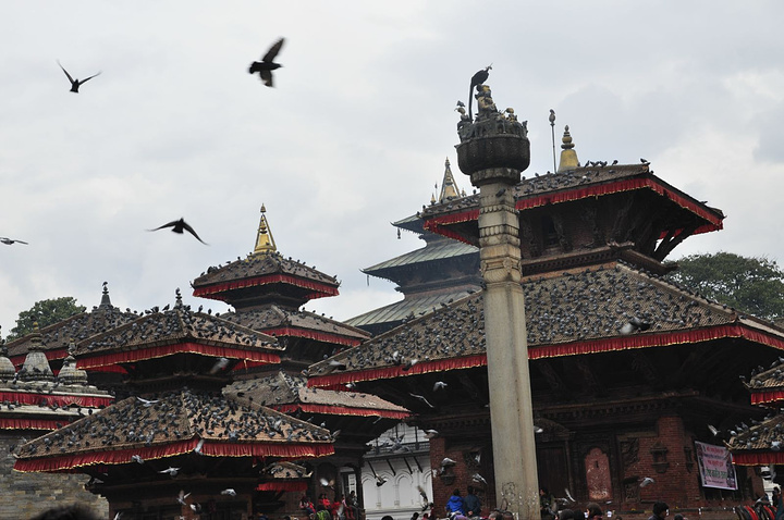 2017门票750rs, 鸽子屎味道很大_杜巴广场评论