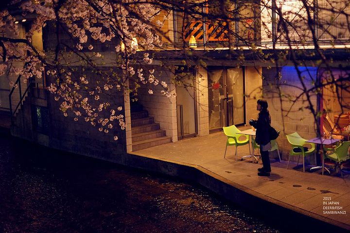 "听说很多居酒屋可以喝着小酒，观赏鸭川夜景。时尚商业化的酒吧街，却流动着百年古老的气息_先斗町"的评论图片