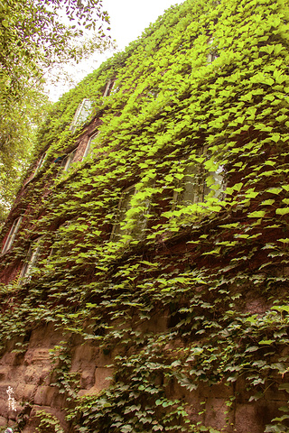 校园--是只有在离开之后才会发觉的最美丽.