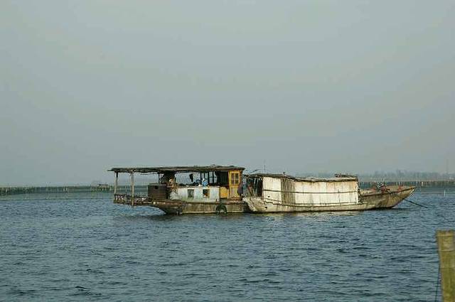 扬州宝应湖国家湿地公园