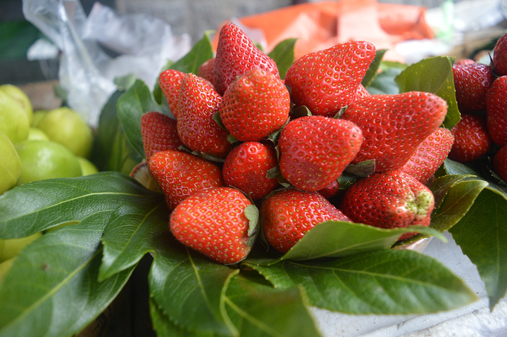 忘记啥 白族的特色小吃.什么菜 海菜