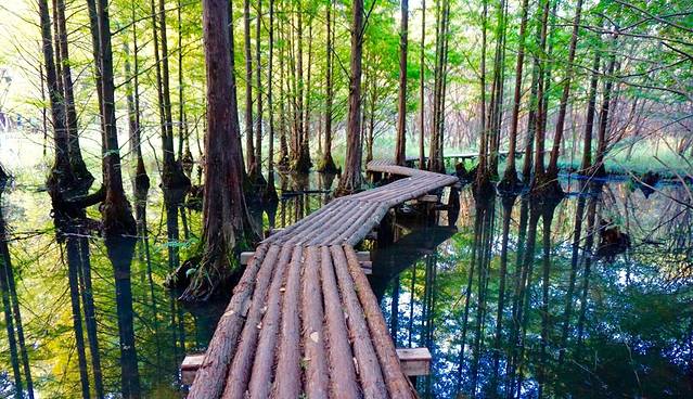 将军山旅游风景区
