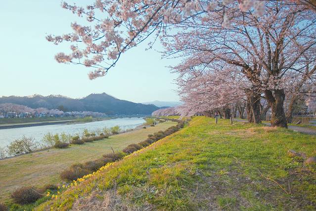 原宿东角博物馆