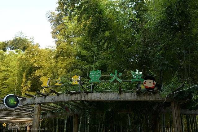 天际岭国家森林公园