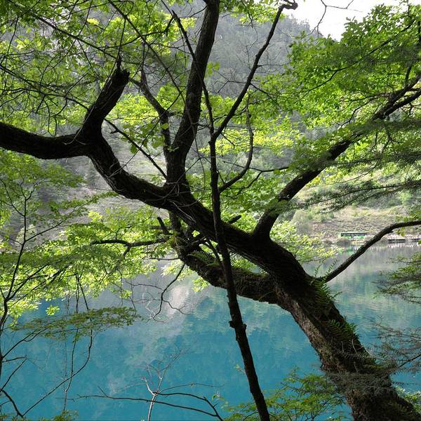 老虎海旅游攻略
