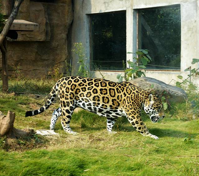 长沙生态动物园