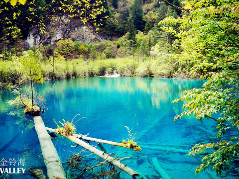 2019金铃海_旅游攻略_门票_地址_游记点评,九寨沟旅游景点推荐 - 去