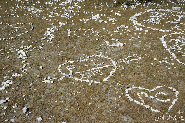 大虾哥,很有趣的一个人哈哈_稻城亚丁"的评论图片