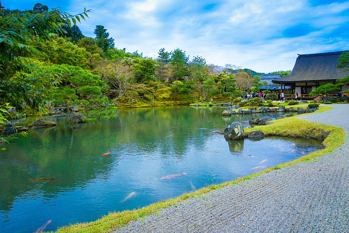 叔叔是第一次来岚山,赞叹着眼前景色,心情大好.