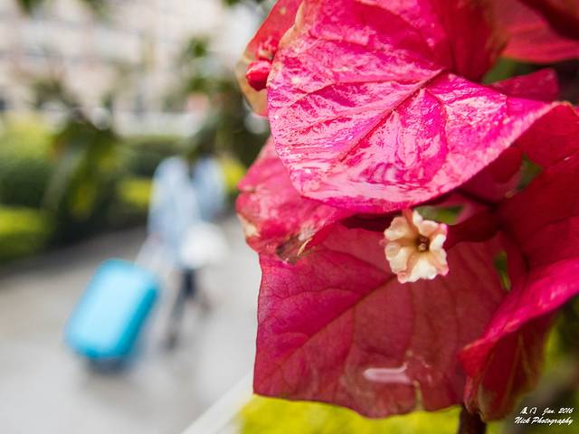 厦门、霞浦之旅