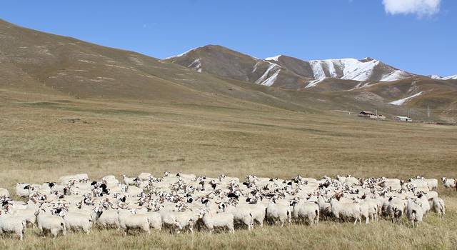国庆假期的青海、西安两地游