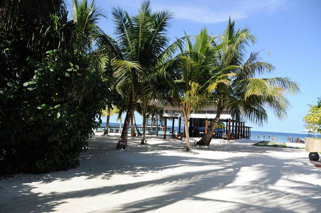 卓美亚德瓦纳芙希岛