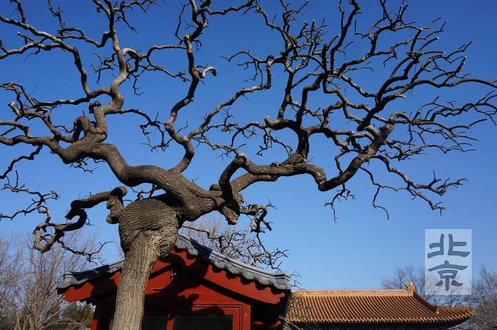 到了故宫售票处没有带学生证只带了学生卡居然