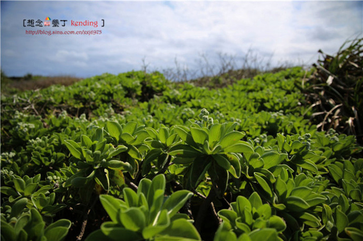 2017.感受生态平衡的景象,为了知道爱护环境的