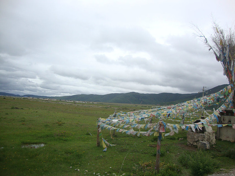 纳帕海（依拉草原）旅游景点攻略图