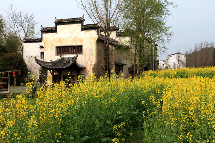 锦峰绣岭,清溪碧河的自然风光之中,房屋群落与自然环境巧妙结合,山水